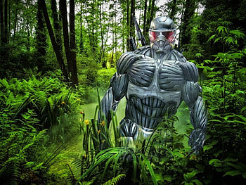 Crysis, flover, hop effect, blackground, jungle, tree HD wallpaper