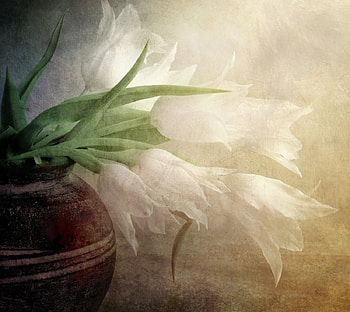 Beautiful Morning, vase, white, flowers, morning HD wallpaper