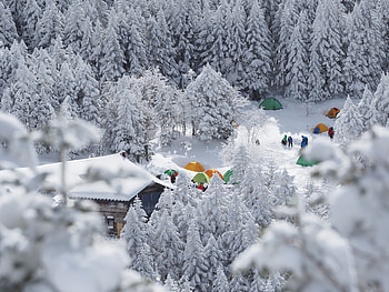 Winter, Snow, Miscellanea, Miscellaneous, Forest, Campsite, Camping, Tents HD wallpaper