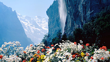 Flowers Mountains Cliff, mountains, flowers, nature HD wallpaper