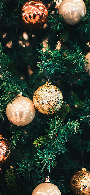 12 Pro Christmas , Festive beauty, collection, Seasonal charm HD phone wallpaper