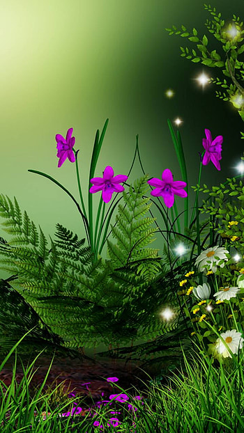 Magical Night, fantasy, artistic, flower HD phone wallpaper