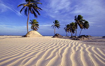 Landscape, Beach HD wallpaper