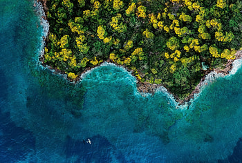 Island, forest, ocean, aerial view HD wallpaper