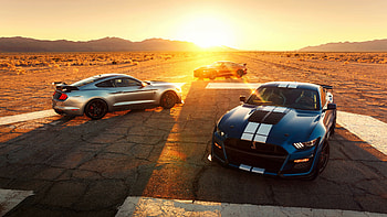 Ford Mustang Shelby GT500, U , Classic muscle car, Powerful performance HD wallpaper