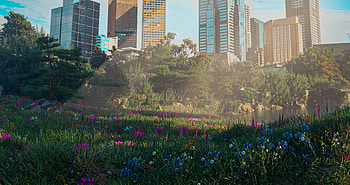 flower garden, 3D, city, Blender 3D, render HD wallpaper