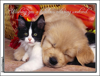 FANTASTIC WEEKEND, FANTASTIC, WEEKEND, COMMENT, CARD HD wallpaper