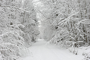 Beautiful Winter Snow Backgrounds - Nature HD wallpaper