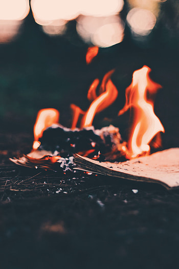 Fire, Bonfire, Miscellanea, Miscellaneous, Paper, To Burn, Burn, Ash HD phone wallpaper