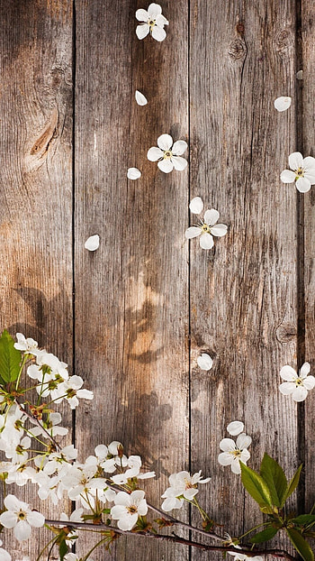 Unique, Flowers, Background HD phone wallpaper
