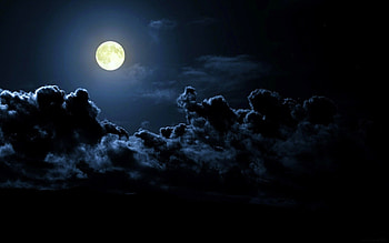 Moon, Space, Computer , Spooky tree HD wallpaper
