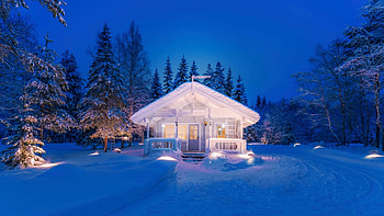 Evening Lights, trees, forest, snow, cabin, landscape HD wallpaper