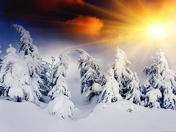 sun in winter mountain, winter, sun, snow, tree HD wallpaper