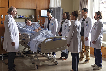 The Good Doctor, Season 4, Medical drama, Official wiki page HD wallpaper