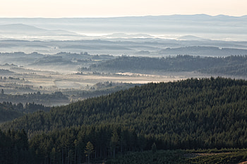Nature, Trees, Sky, Forest, Fog, Hills HD wallpaper