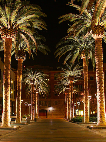 San Jose, California, Travels HD phone wallpaper