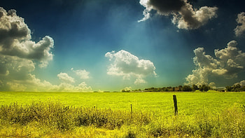 Nature, Sky, Clouds, Summer, Field, Colors, Color, Paints, Day, Pasture HD wallpaper