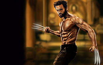 Wolverine, wolverine, superheroes, artwork, deviantart HD wallpaper