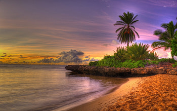 gorgeous beach at sunset r, sea, clouds, trees, r, rocks, sunset, beach HD wallpaper
