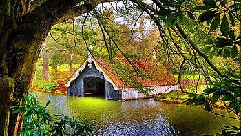 cabin in the lake, nature, plants, lake, cabin HD wallpaper