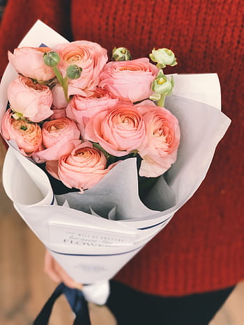 Charming bouquet of pink roses held by a person, perfect for romantic occasions. HD phone wallpaper