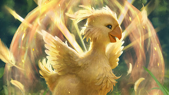 Mobius Final Fantasy Boko Bird, bird, final-fantasy, games, deviantart HD wallpaper