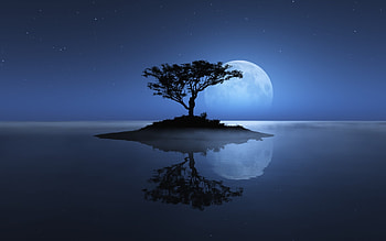 of loneliness which is under the loneliness . HD wallpaper