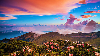 Mountain Colors, sky, hills, flowers, wildflowers, clouds, sunset HD wallpaper