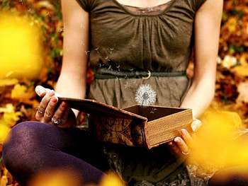 Dandelion, auttumn leaves, girl, book HD wallpaper