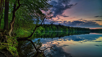 Summer lake, Water, Plants, Sky, Trees, Outdoor HD wallpaper