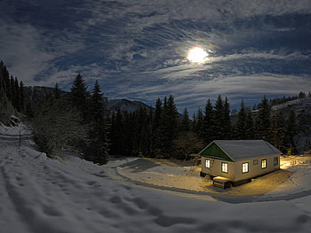 Winter night, winter, night, moon, landscape, nature, tree HD wallpaper
