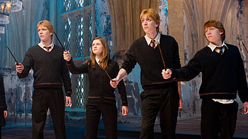 Harry Potter, Order of the Phoenix, 2007 backdrops, The Movie Database Tmdb HD wallpaper