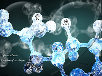 GENETIC HEART, hate, heart, science, love HD wallpaper
