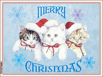 MERRY CHRISTMAS, CHRISTMAS, MERRY, COMMENT, CARD HD wallpaper