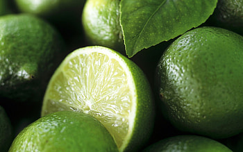 Vibrant lime, Zesty and tangy, Citrus fruit, Fresh flavor HD wallpaper