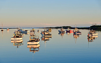 Lobster boats at rest, America, calm, harbor, boats HD wallpaper