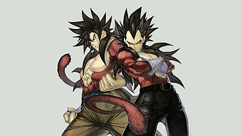 goku and vegeta super saiyan 4 dragon ball anime . HD wallpaper