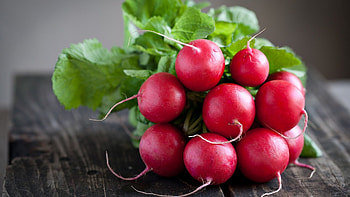 Archaeology of fruits and vegetables, Red radish, Culinary history, Chefs mandala HD wallpaper