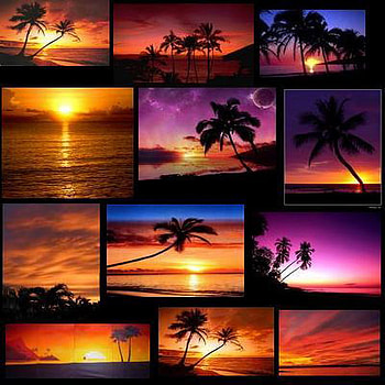 orange purple sunset, purple, orange, collage, sunset HD wallpaper