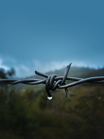 Close up, Barbed wire HD phone wallpaper