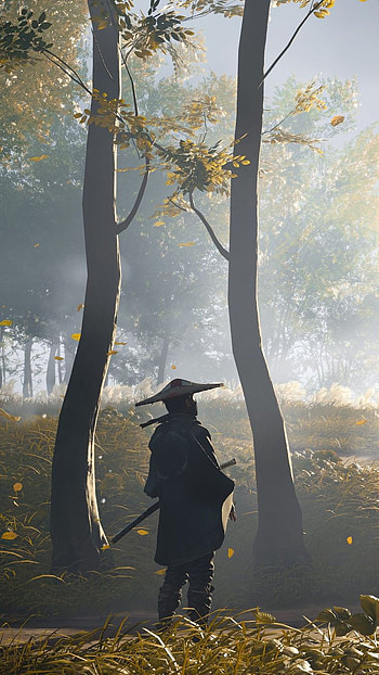 Japan, samurai japan, sunlight, world HD phone wallpaper