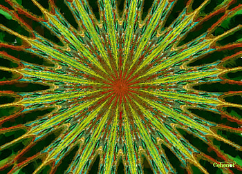 Green wish, by cehenot, art, painting, abstract, pictura, flower, green, red, texture HD wallpaper