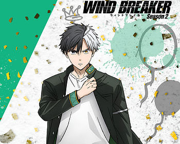 Anime, Wind Breaker, Haruka Sakura HD wallpaper
