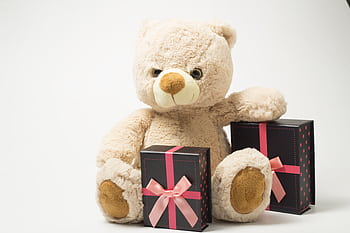 Adorable teddy bear with gift boxes tied with pink ribbons, perfect for celebrations. HD wallpaper
