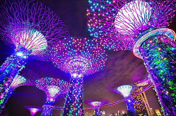 Colorful illuminated Supertree Grove at Gardens by the Bay in Singapore, showcasing stunning architectural design. HD wallpaper