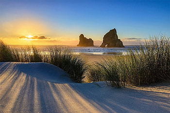 sunset at wharariki beach, grass, sand, sunset, beach HD wallpaper