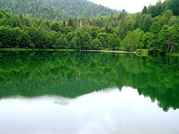 black lake -artvin,turkey, nature, turkey, lake HD wallpaper
