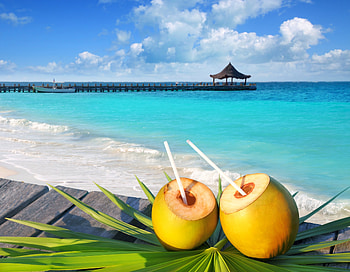 Tropical Drinks, sea, juice, tropical, coconut, drink, beach HD wallpaper