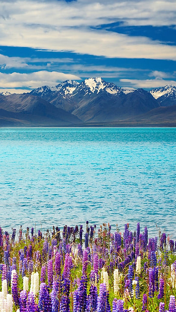 New Zealand , Stunning backgrounds, South Island beauty HD phone wallpaper