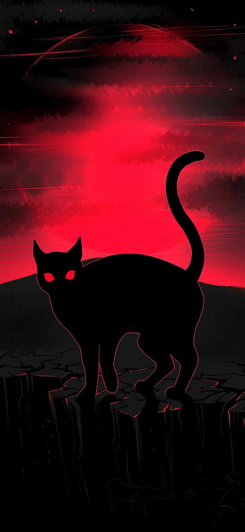 Black cat, Amoled HD phone wallpaper